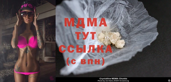 прущие грибы Костерёво