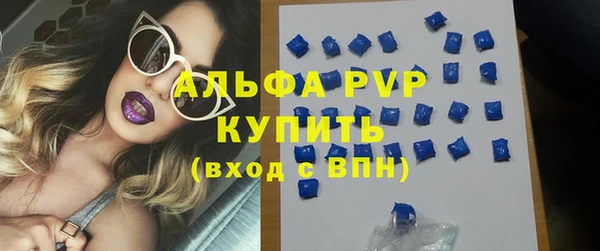 прущие грибы Костерёво