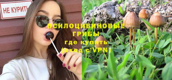 мяу мяу кристалл Корсаков