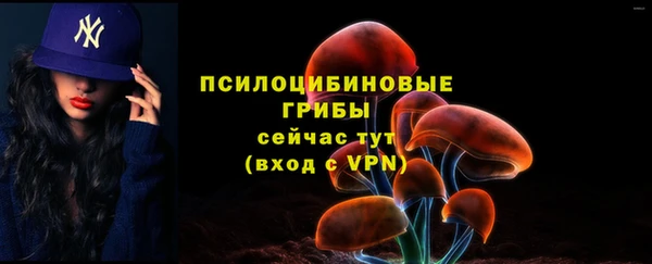 скорость Коряжма