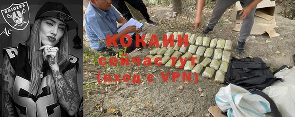 прущие грибы Костерёво