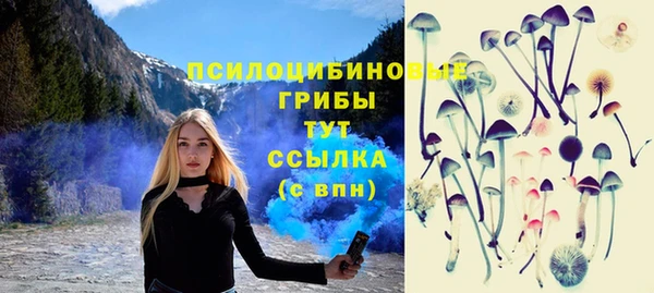 мяу мяу кристалл Корсаков