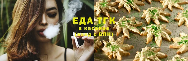 прущие грибы Костерёво
