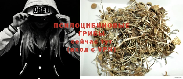 мяу мяу кристалл Корсаков