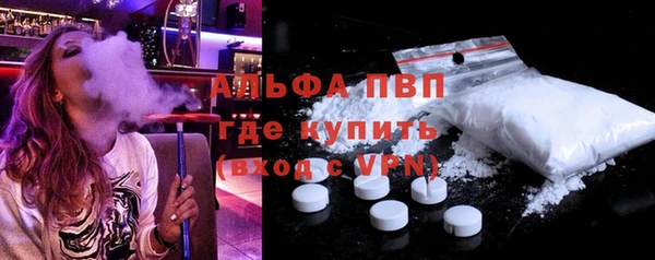 прущие грибы Костерёво