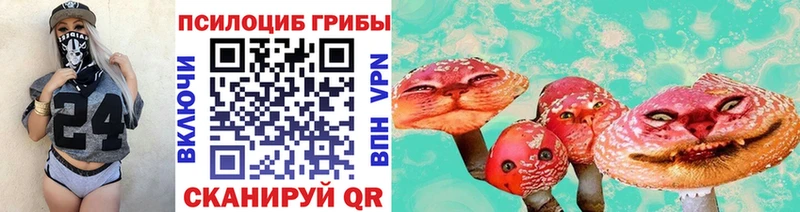 купить закладку  Мглин  Псилоцибиновые грибы Psilocybine cubensis 