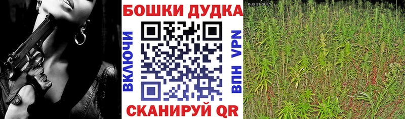 Канабис White Widow  наркотики  Мглин 